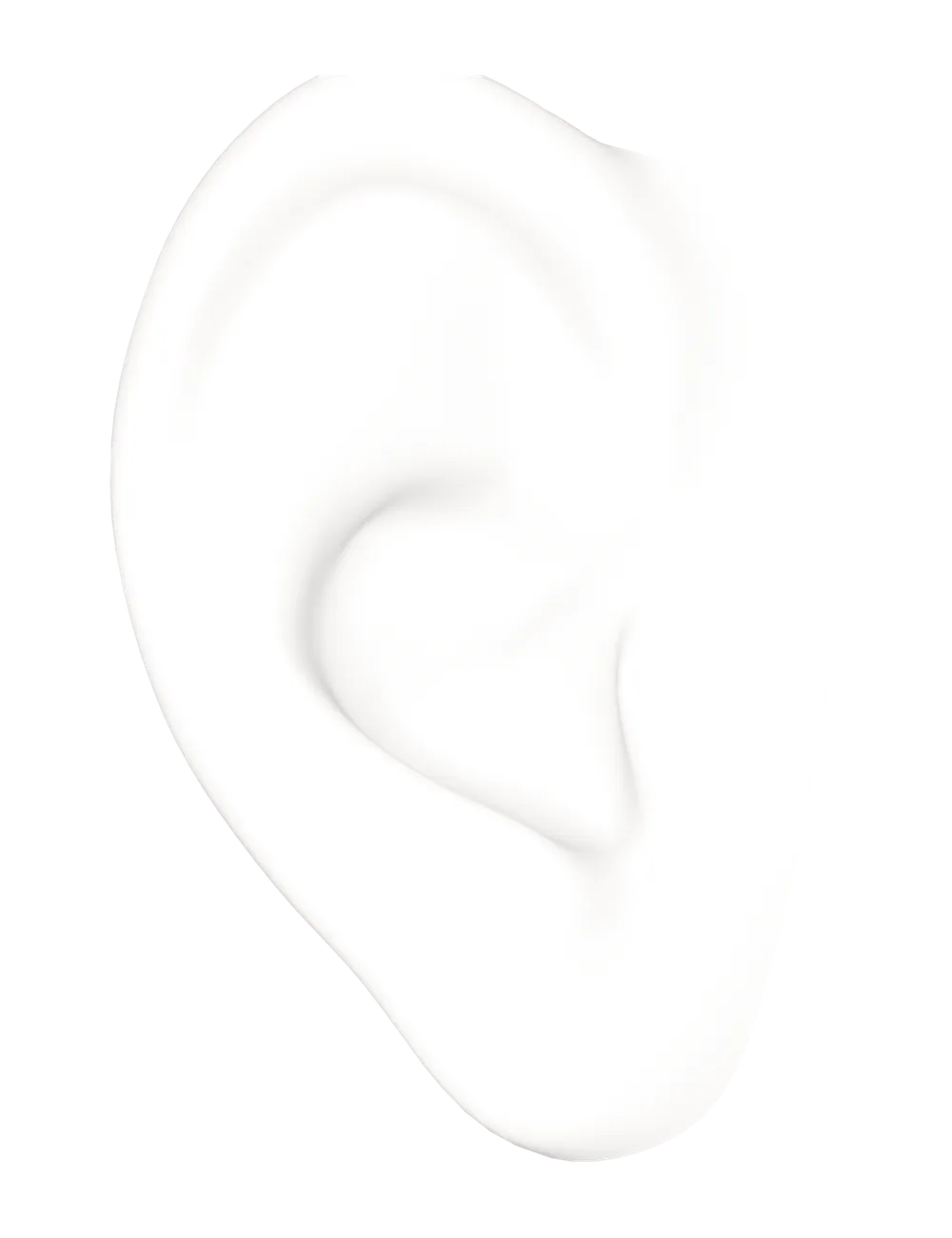 Right ear — lateral view