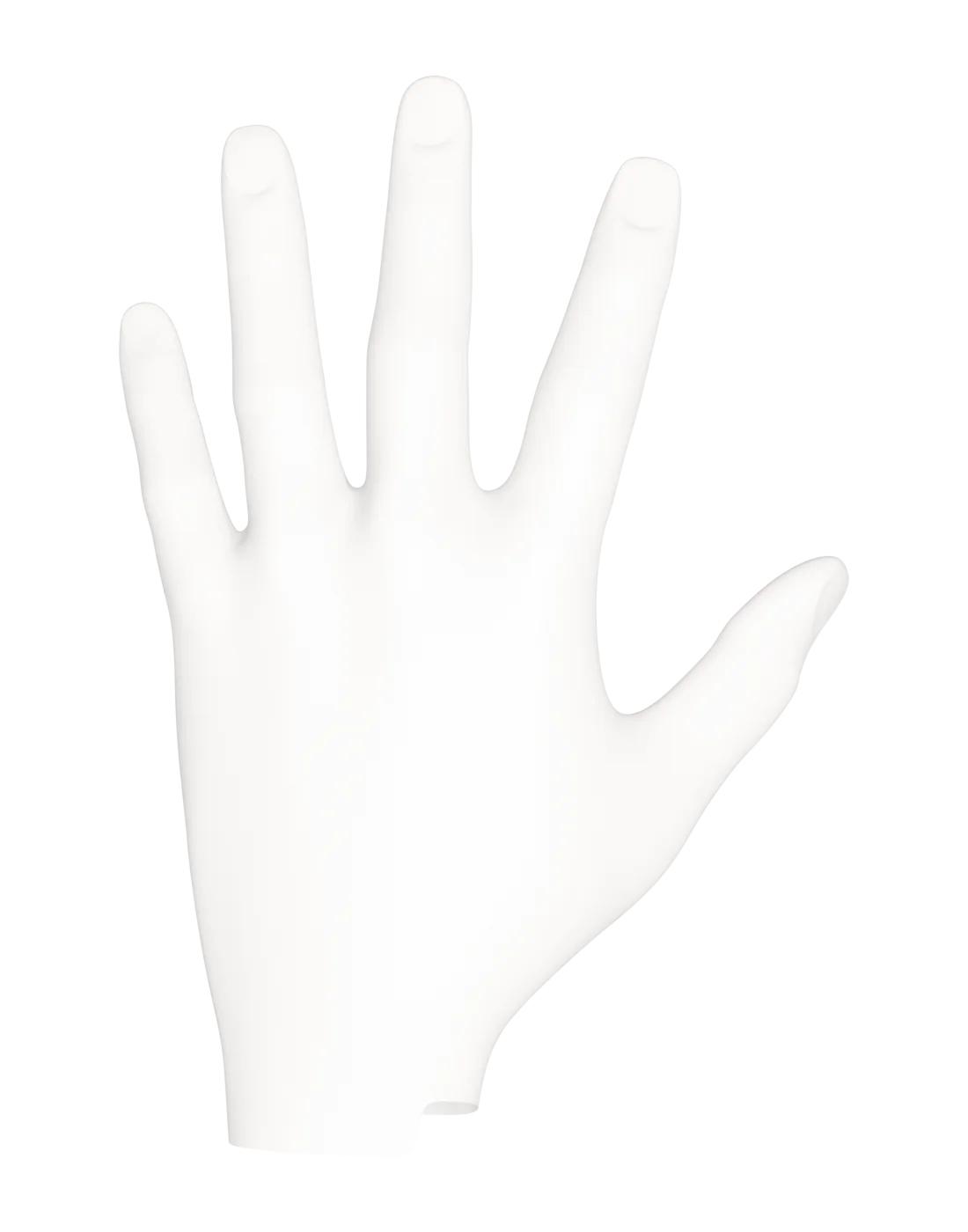 Left hand — back