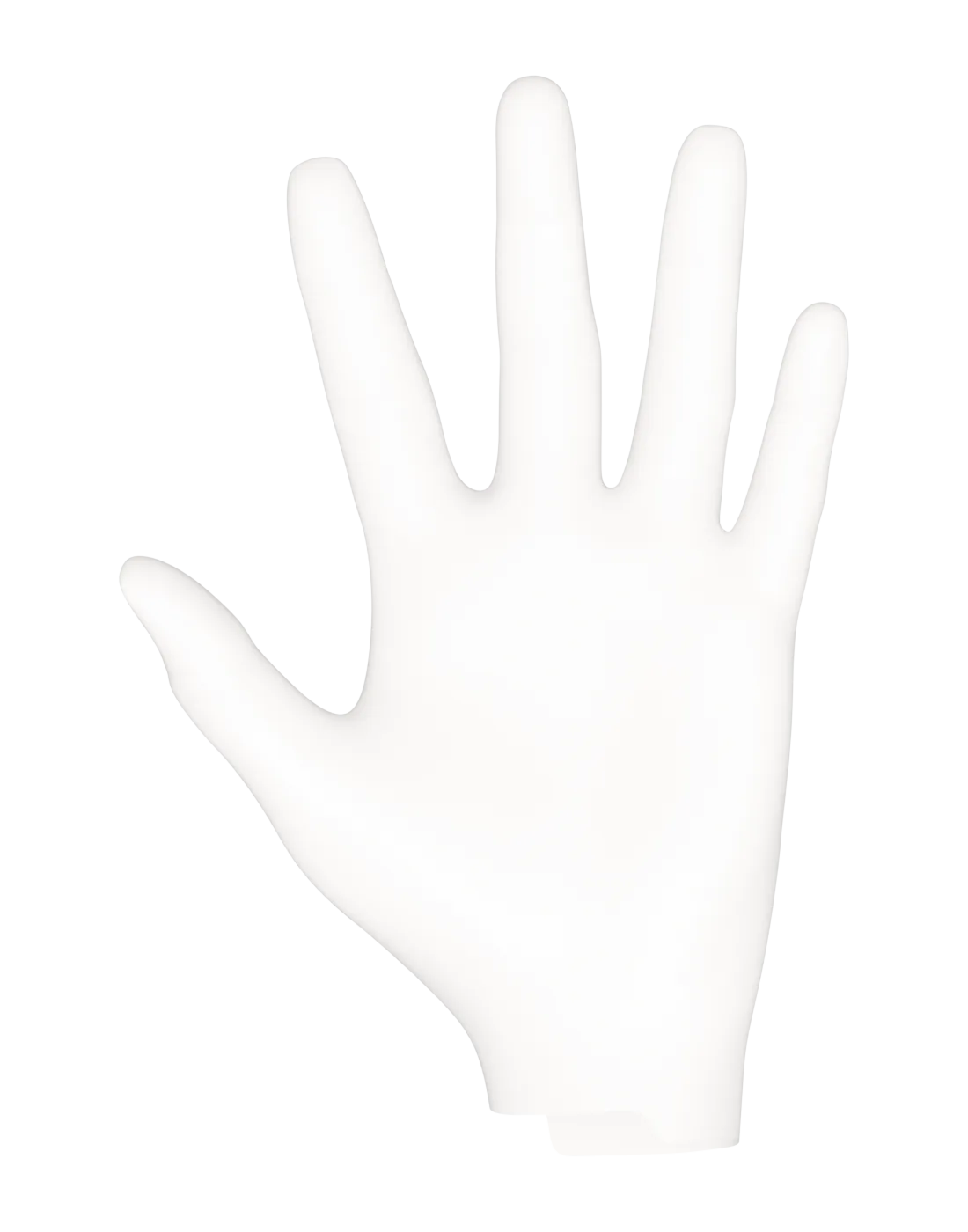 Left hand — palm
