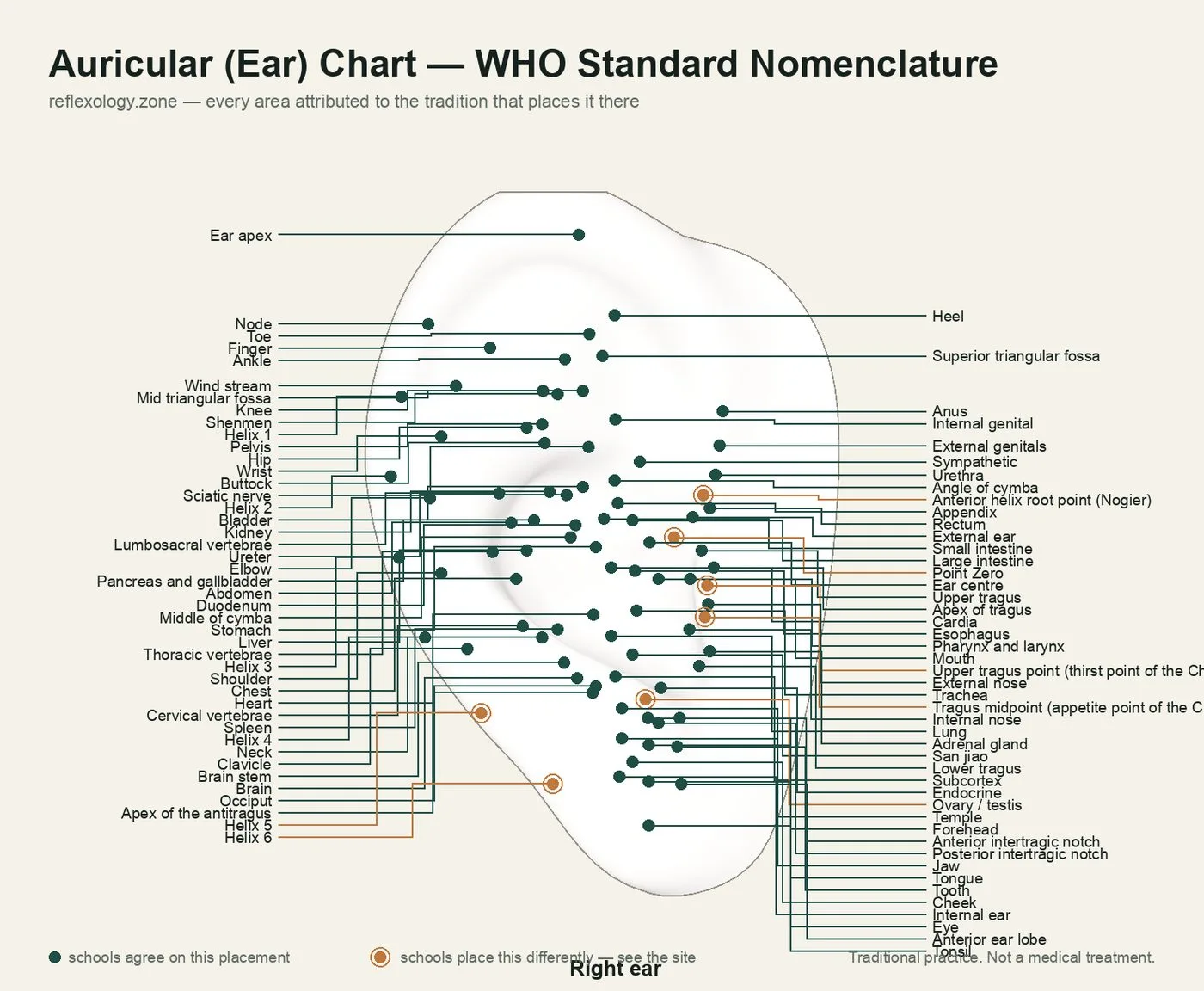 Auricular Chart — WHO Standard Nomenclature