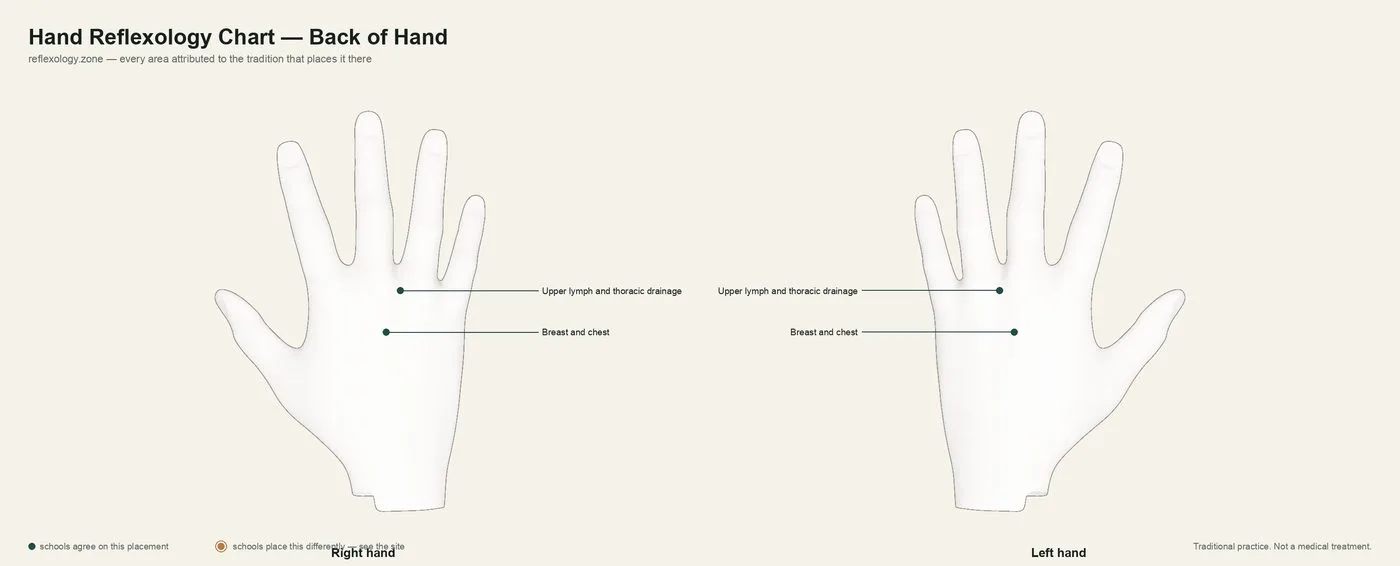 Hand Chart — Back of the Hand